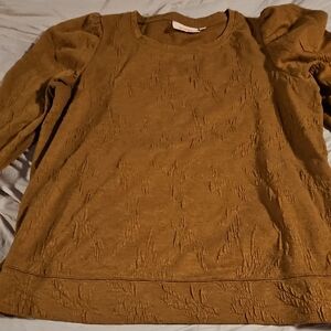 EVRI Earthy Brown Knit Top